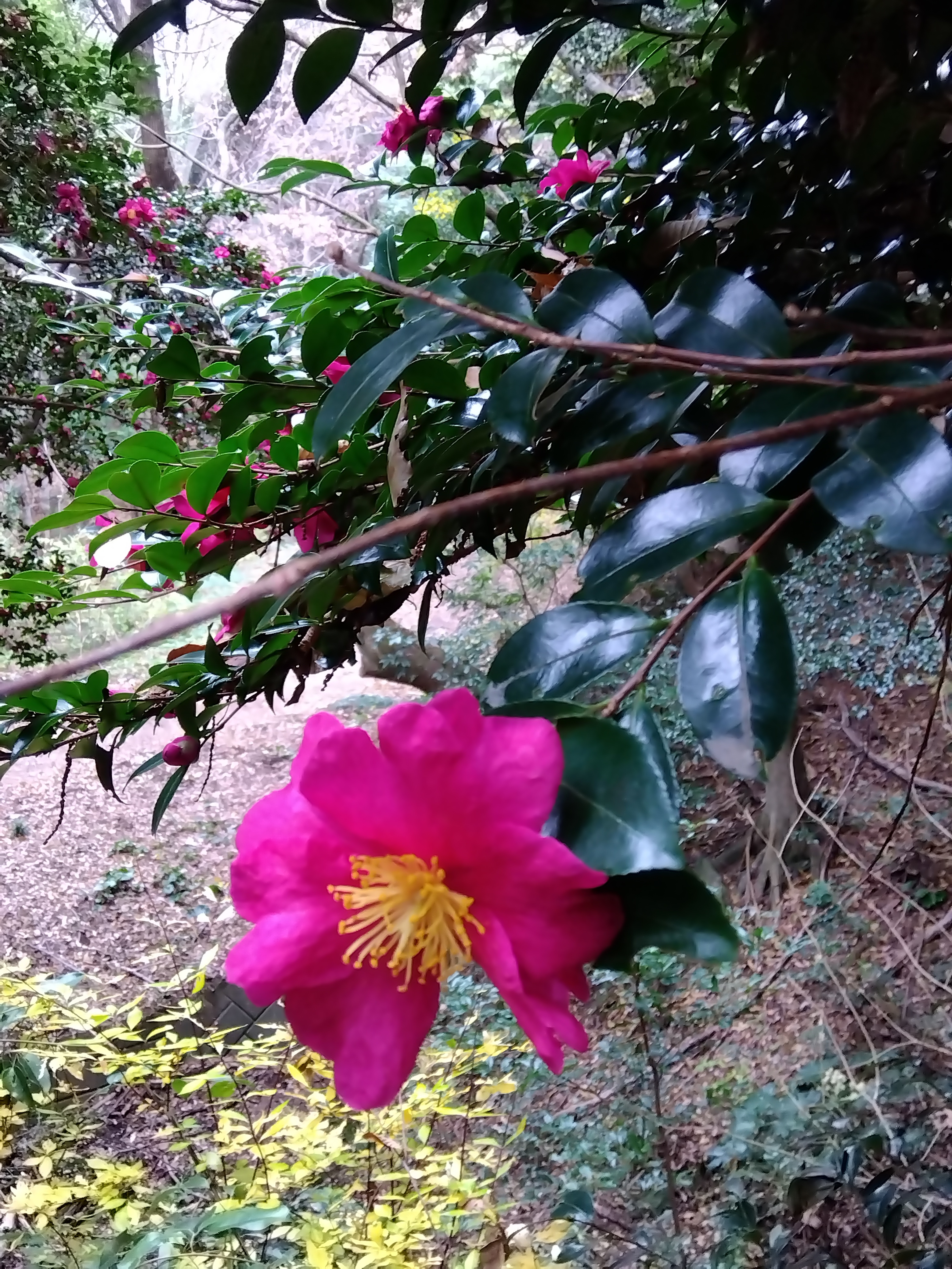 IMG_2025-12-18-10-05-55-857